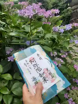 遍照院(東京都)