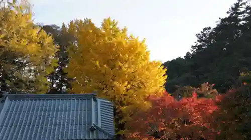 小松寺(千葉県)
