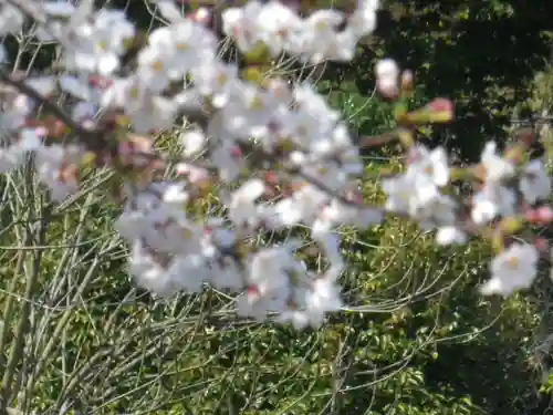 鶴岡八幡宮の自然