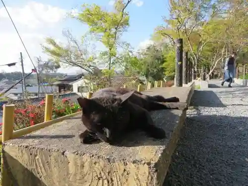 熊野若王子神社(京都府)