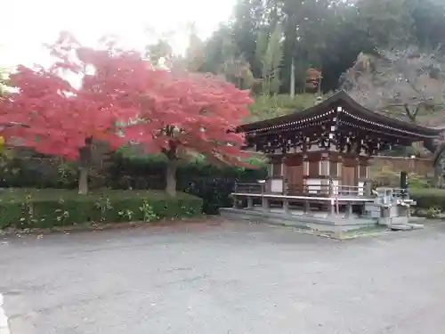 高乾院(福島県)