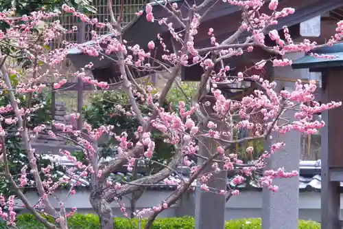 伊和志津神社(兵庫県)