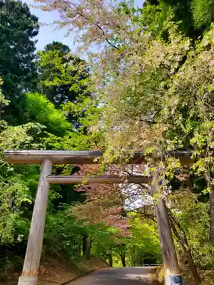 土津神社|こどもと出世の神さまの鳥居