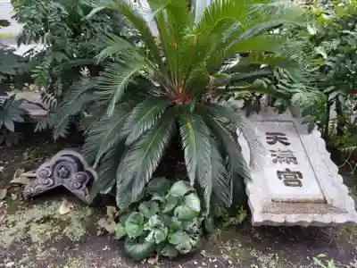 成子天神社(東京都)