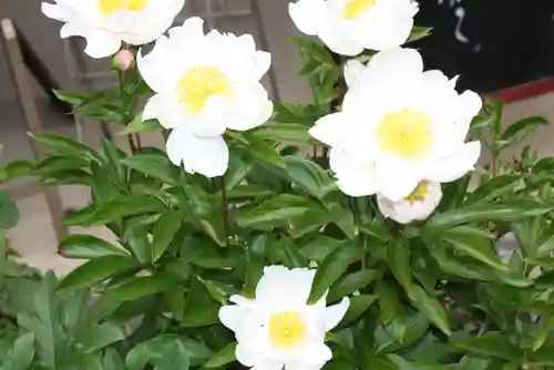 當麻寺中之坊(奈良県)