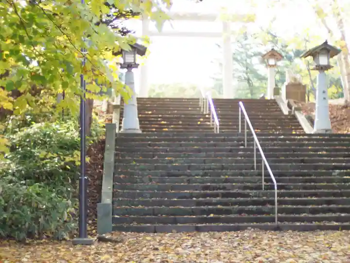 岩内神社の自然