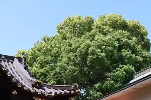 三津厳島神社(愛媛県)