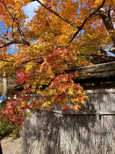宝厳院(京都府)