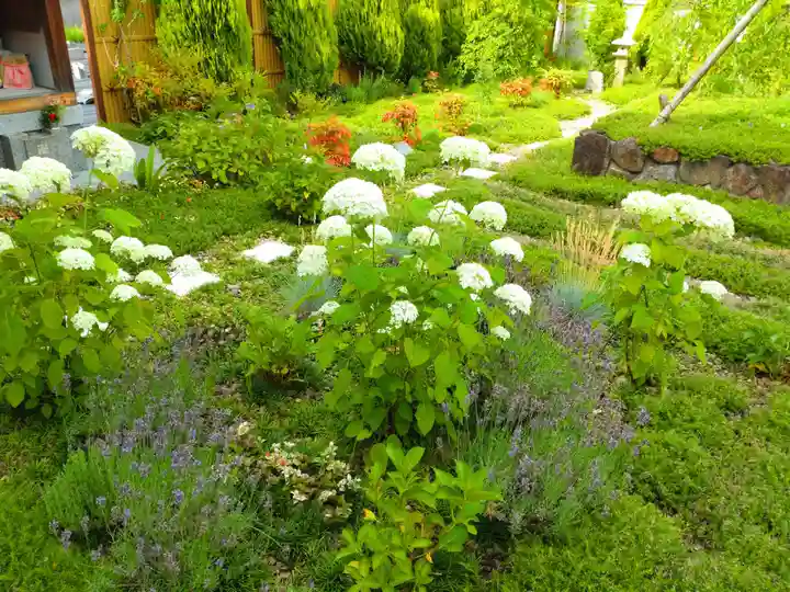 寿量山 速成寺の自然