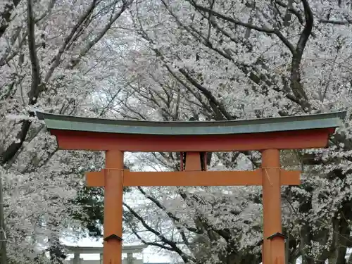 東蕗田天満社の鳥居