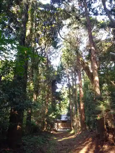 鉾神社の自然