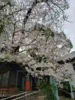 神明氷川神社(東京都)