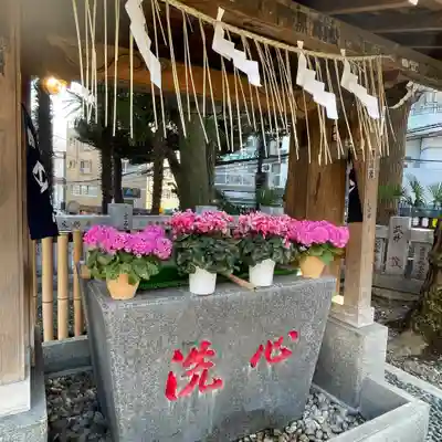 高円寺氷川神社の手水舎