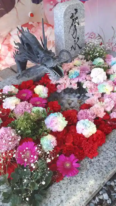 札幌諏訪神社の手水舎