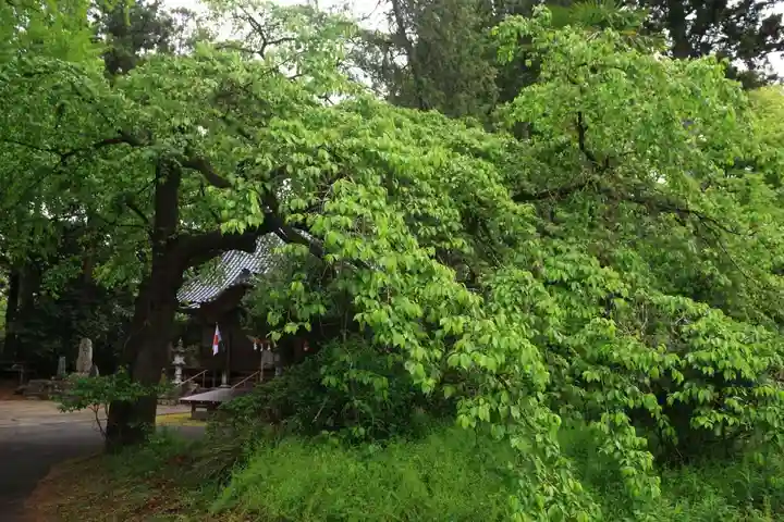 春日神社の景色