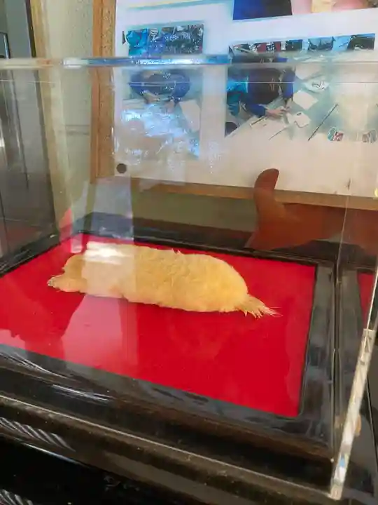 下野 星宮神社のその他建物