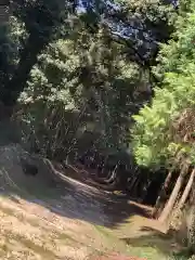 平野日吉神社の自然