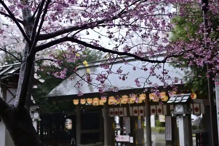 櫻木神社(千葉県)