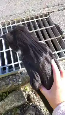 十輪寺(埼玉県)