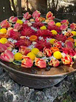武蔵一宮氷川神社(埼玉県)