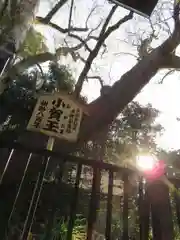 白峯神宮の自然