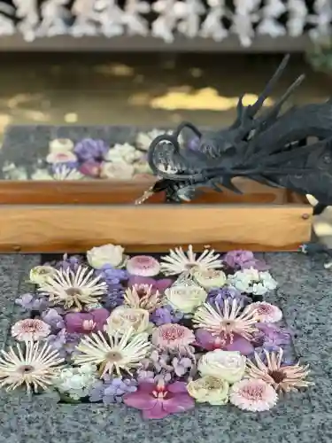 川越八幡宮(埼玉県)