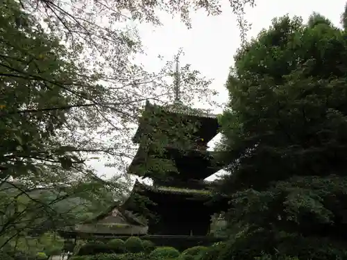 園城寺（三井寺）の建物その他