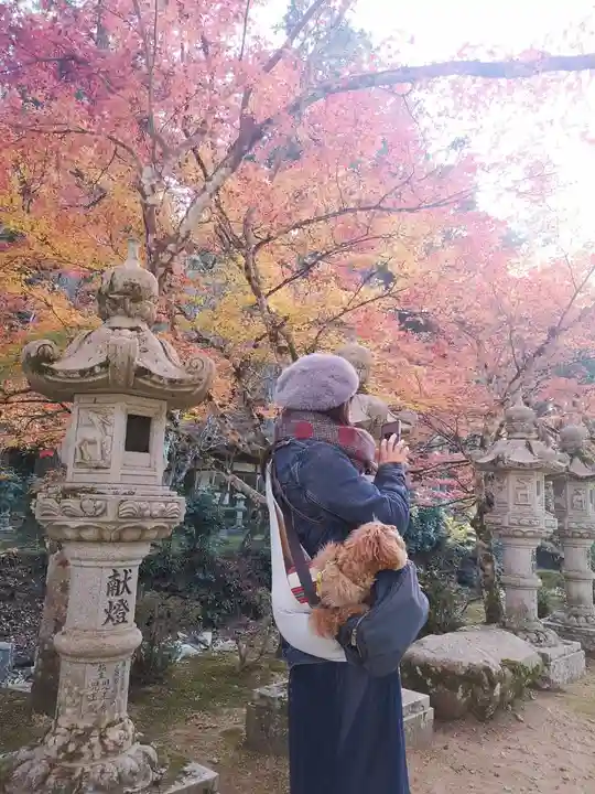 佛通寺(広島県)