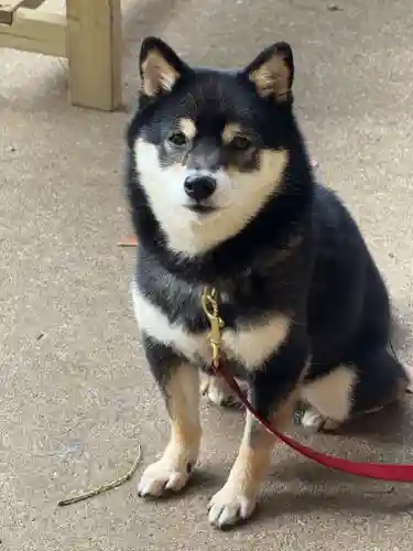 上目黒氷川神社(東京都)