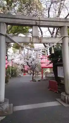 鳥居✨