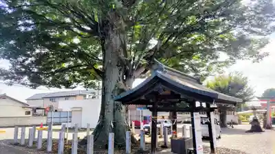 小泉神社(群馬県)