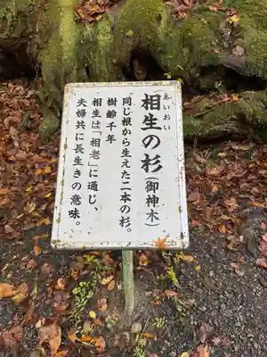 貴船神社奥宮(京都府)