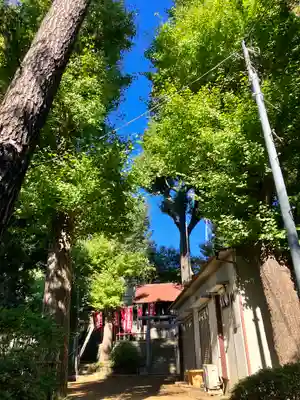 石川神社(東京都)