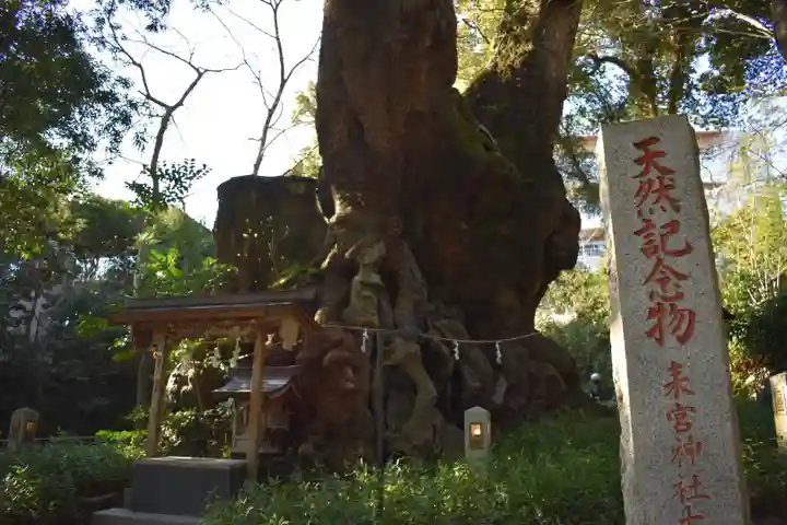 來宮神社の自然