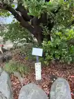 久里浜八幡神社(神奈川県)