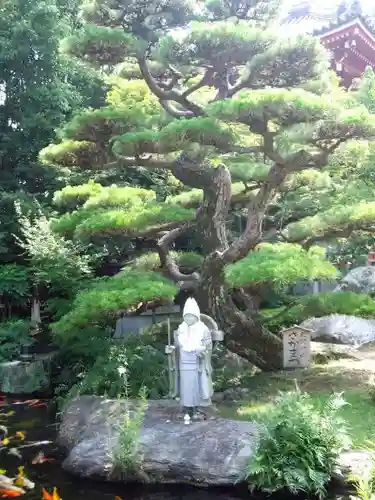 温泉山 安楽寺(四国霊場第六番札所)の庭園