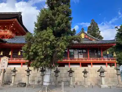 石清水八幡宮(京都府)