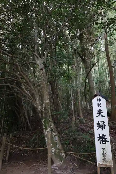 八重垣神社(島根県)