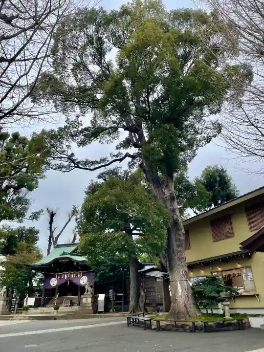 中目黒八幡神社の{uncategorized: "未分類", other: "その他", undefined: "問題あり", building: "その他建物", grave: "お墓", sacred_gate: "鳥居", guardian: "狛犬", statue: "像", buddha: "仏像", history: "歴史", nature: "自然", garden: "庭園", animal: "動物", pagoda: "塔", temizu: "手水舎", mountain_gate: "山門・神門", sanctuary: "本殿・本堂", subordinate: "末社・摂社", art: "芸術", scenery: "景色", jizo: "地蔵", ema: "絵馬", goshuin: "御朱印", omikuji: "おみくじ", items: "授与品その他", amulet: "お守り", goshuincho: "御朱印帳", eats: "食事", festival: "お祭り", votive_dance: "神楽", shichigosan: "七五三参", wedding: "結婚式", experience: "体験その他", initially: "初詣", around: "周辺", anti_infection: "感染症対策"}