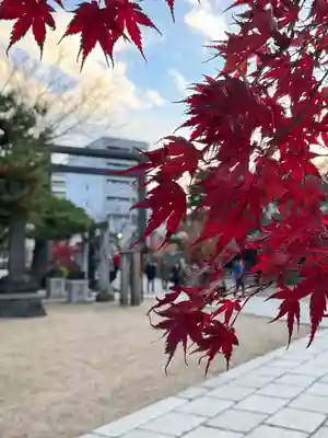 四柱神社(長野県)