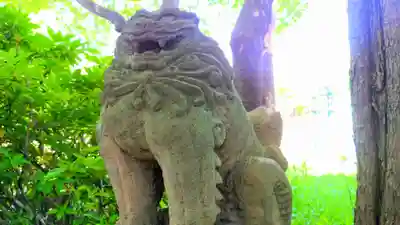 神明社(荒井神明社)の狛犬