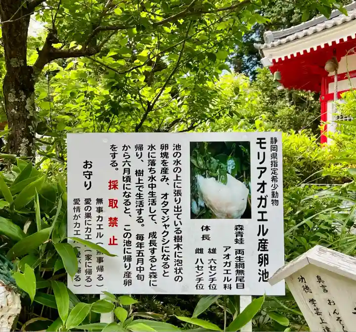清水寺(静岡県)