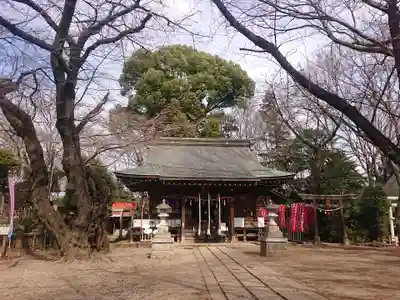 敷島神社の本殿・本堂
