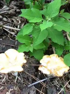 田端神社(東京都)