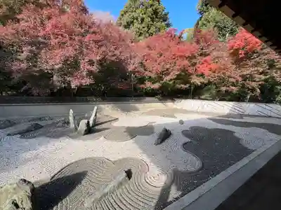 龍吟庵（竜吟庵）(京都府)