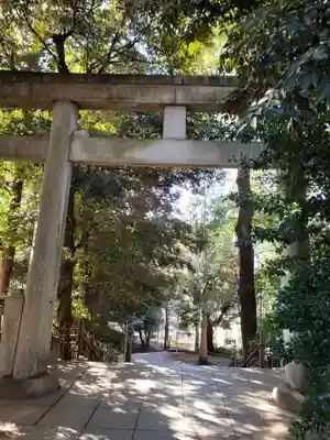 渋谷氷川神社(東京都)