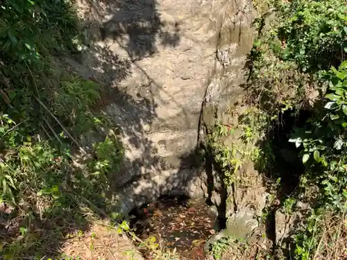 神明神社の自然