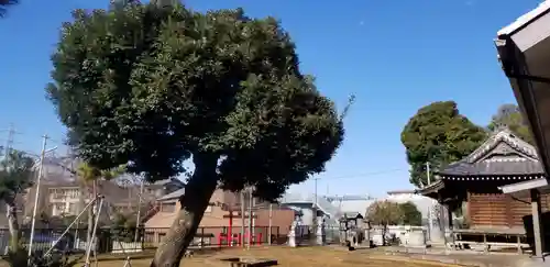 香取神社のその他建物