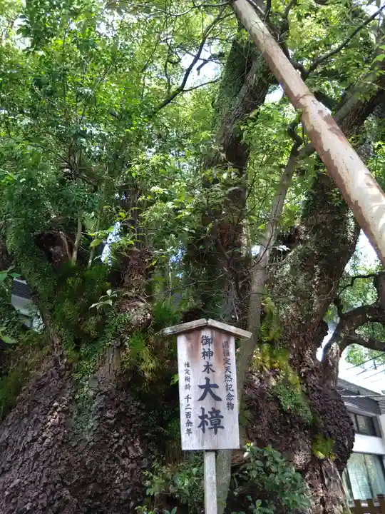 富知六所浅間神社(静岡県)