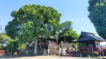 諏訪神社の御朱印 2024年05月